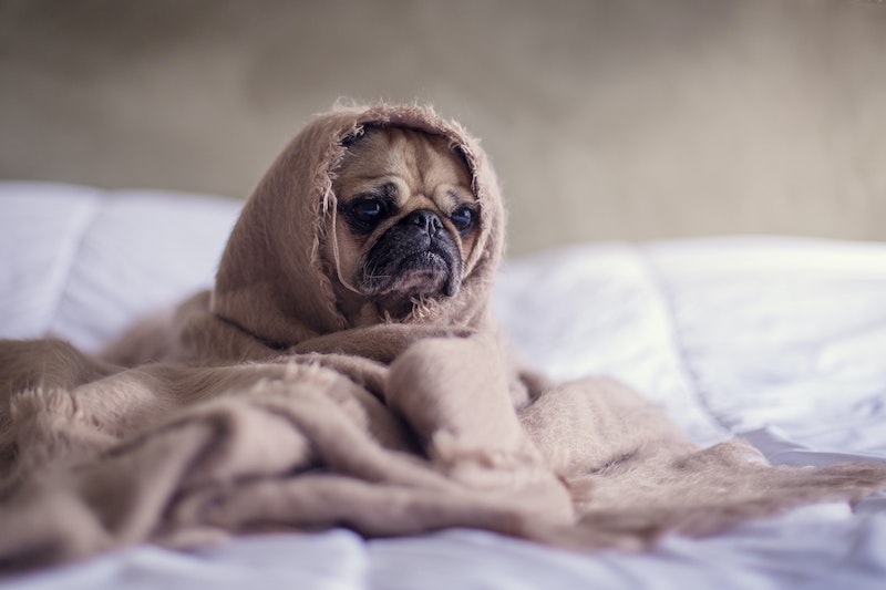 psychika a vysoký krevní tlak 