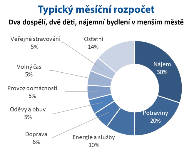 Rodinný rozpočet jako nástroj kontroly