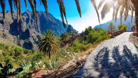 Údolí Masca na Tenerife s palmami a dlážděnou cestou