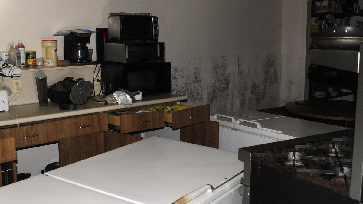 Černá plíseň na světlé zdi místnosti nad kuchyňskou linkou